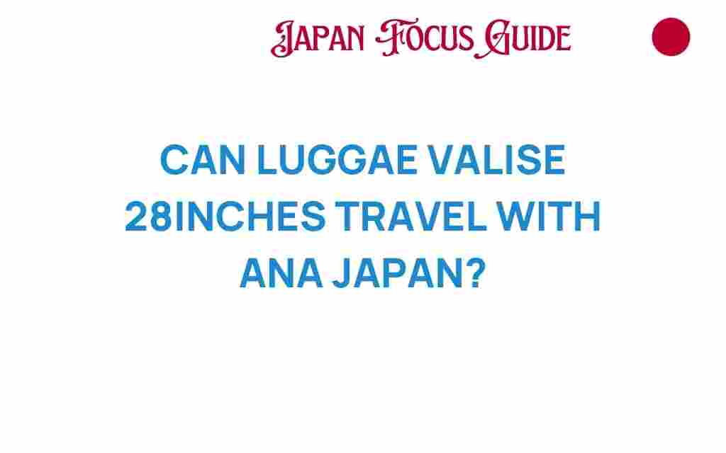 can-luggage-valise-28inches-travel-ana-japan