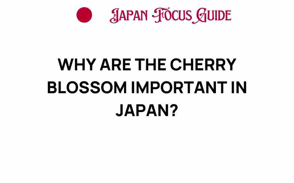 cherry-blossoms-importance-japan